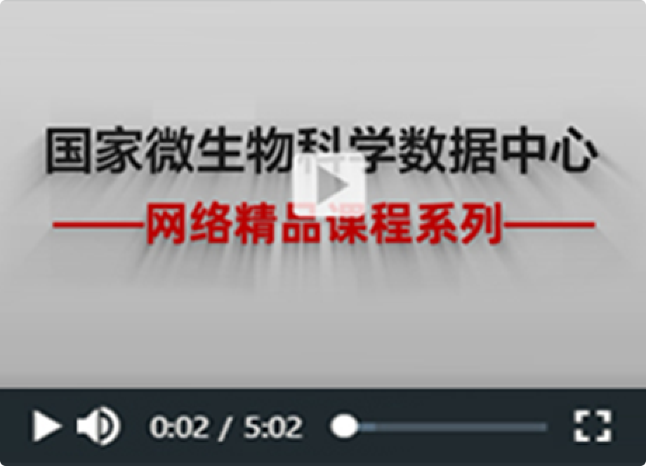 网络精品课程系列